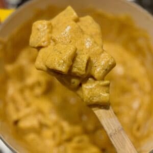 Trader Joe's copycat butternut squash mac and cheese on a wooden spoon.
