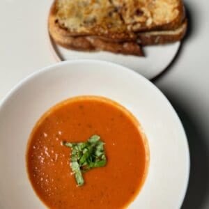 Caramelized onion grilled cheese and tomato soup plated.