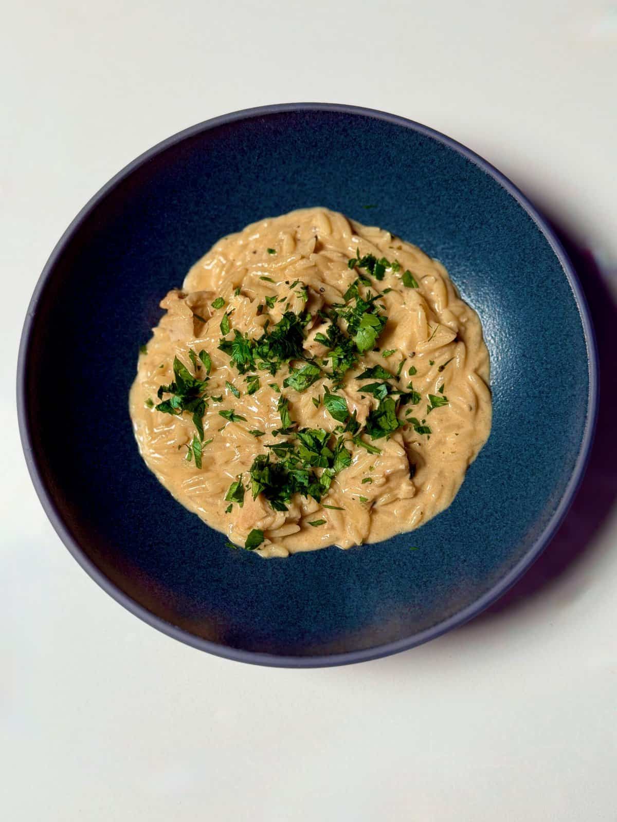 【残り1点】foil 怒ってばかりね！ 26/204 JA-1 plated-cajun-chicken-alfredo-