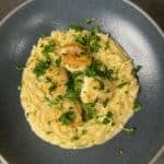 Lemon Dill Orzo with Seared Scallops