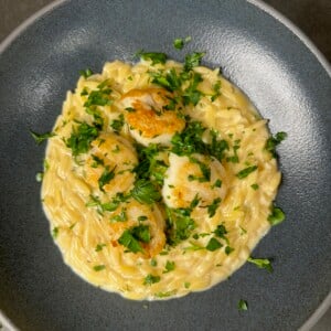Lemon Dill Orzo with Seared Scallops