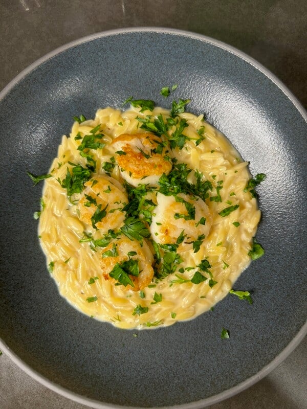 Lemon Dill Orzo with Seared Scallops