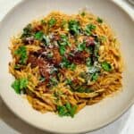 Creamy orzo with spinach and sun-dried tomatoes surrounds a piece of browned chicken.
