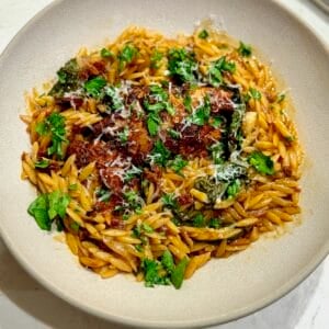 Creamy orzo with spinach and sun-dried tomatoes surrounds a piece of browned chicken.