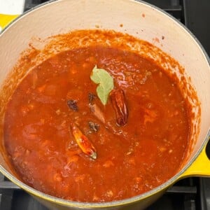 a Dutch Oven with tomato sauce, bay leaf, cinnamon stick, star anise, and dried red chili peppers.