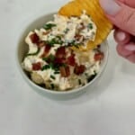 Loaded baked potato dip on chip