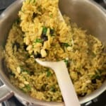 Rice Pilaf on Spoon