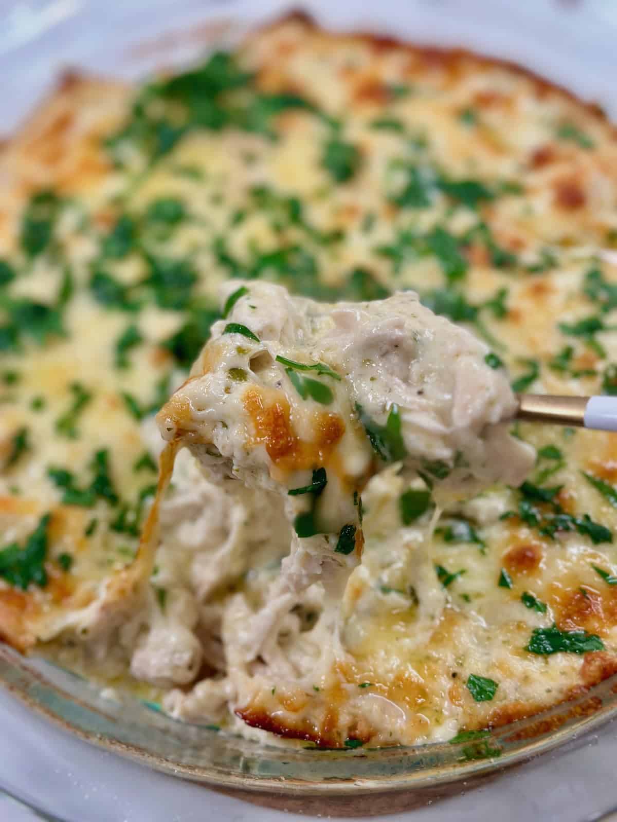 Spoonful of creamy chicken alfredo dip.