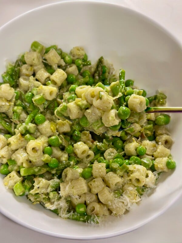 White bowl with spring ditalini on a fork