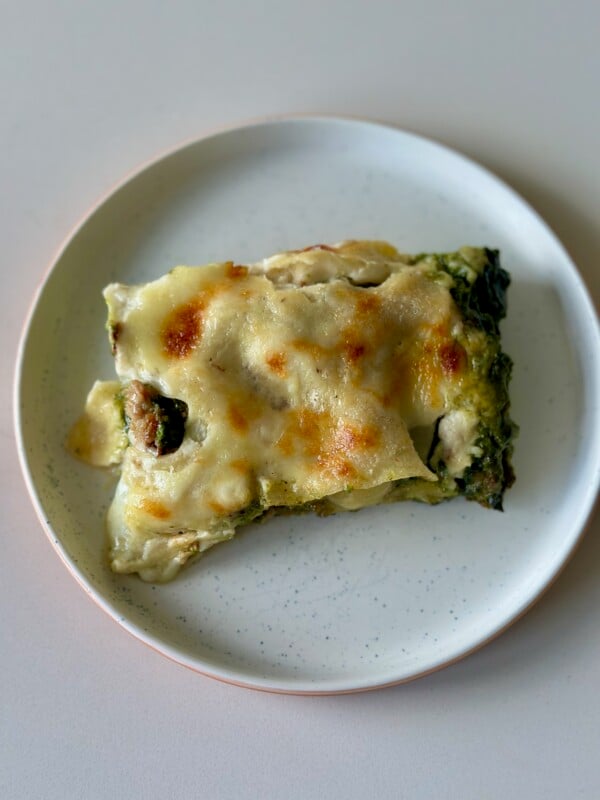 Green Lasagna Slice Top Down