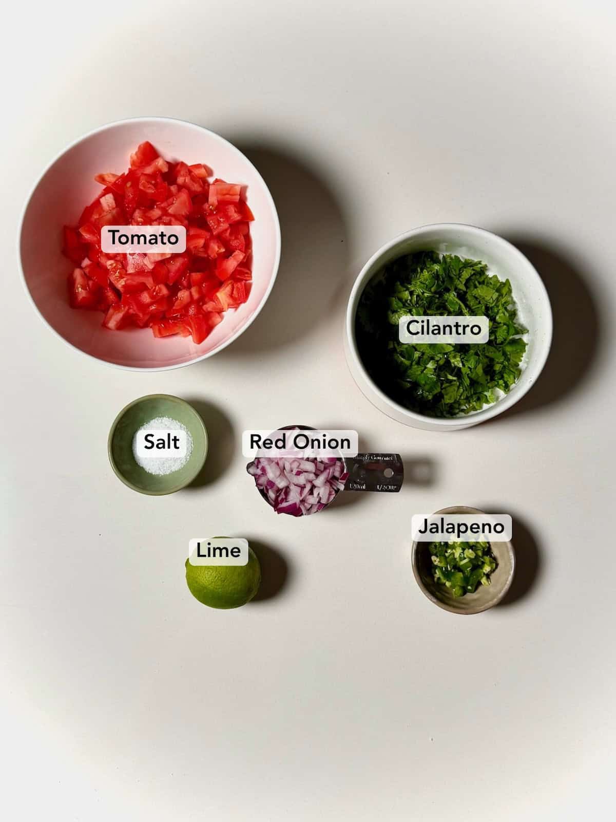 Ingredients for fresh tomato salsa including tomatoes, cilantro, red onion, lime, jalapeno, and salt.