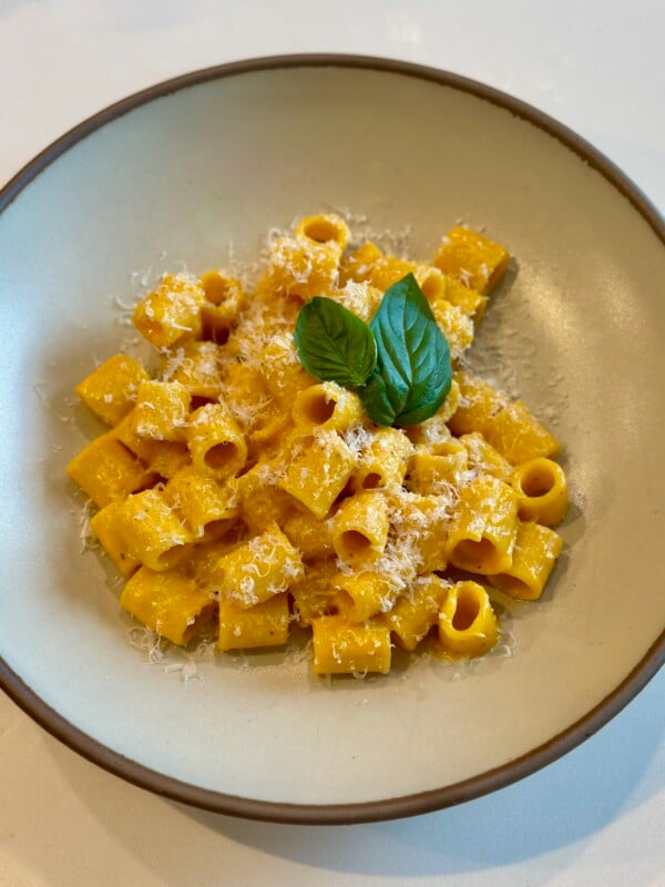 A bowl of creamy orange tomato pasta with parmesan cheese and fresh basil