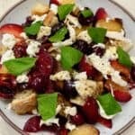 Stone fruit panzanella salad with burrata, toasted ciabatta, cherries, nectarines, red plum, and fresh basil.