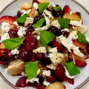 Stone fruit panzanella salad with burrata, toasted ciabatta, cherries, nectarines, red plum, and fresh basil.