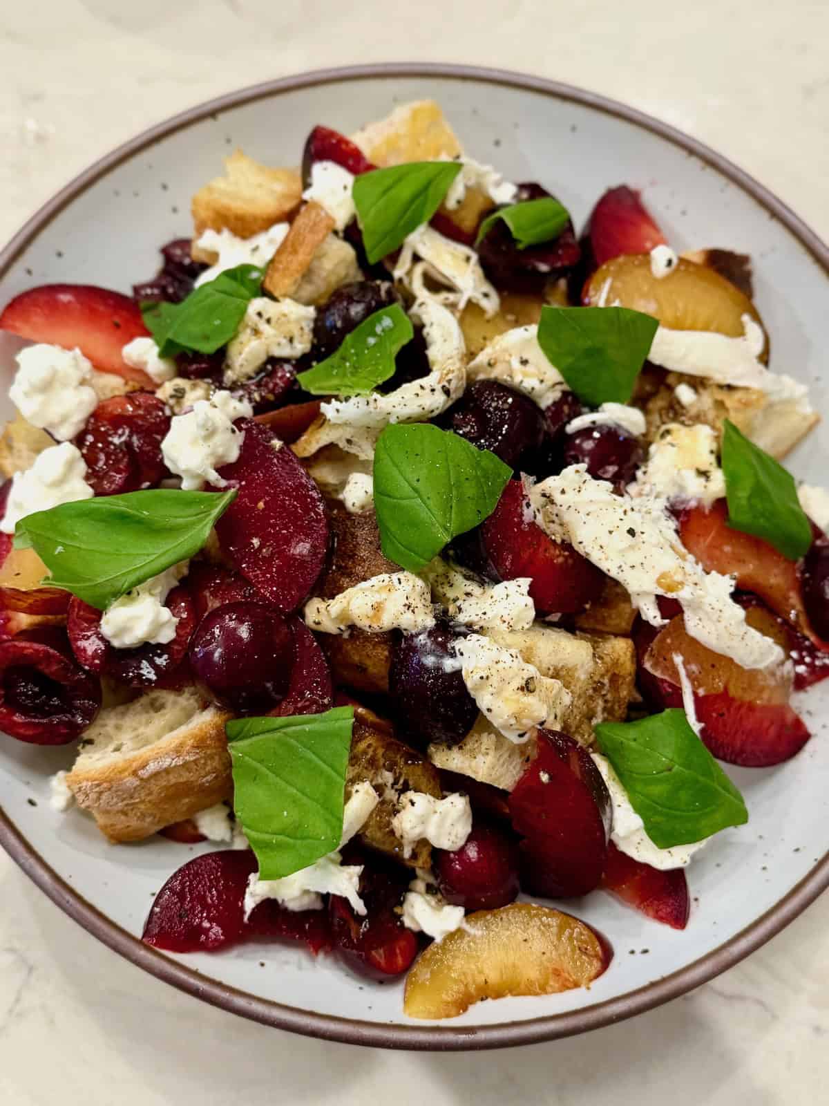 Stone fruit panzanella salad with burrata, toasted ciabatta, cherries, nectarines, red plum, and fresh basil.