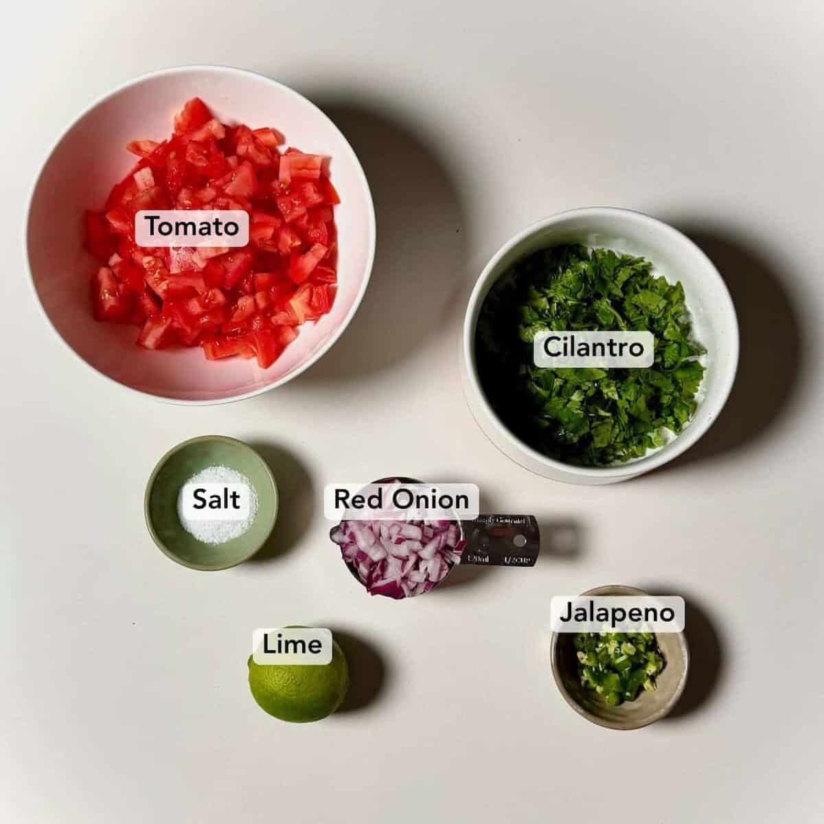 Ingredients for fresh tomato salsa including tomatoes, cilantro, red onion, lime, jalapeno, and salt.